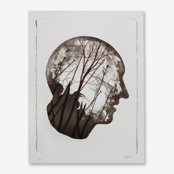 stateless-hpm-1-15-david-de-la-mano-print-them-all-lithograph