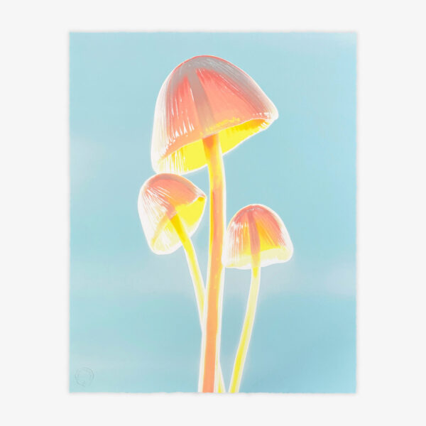 Solved, a screenprint by FVCKRENDER, in collaboration with print them all